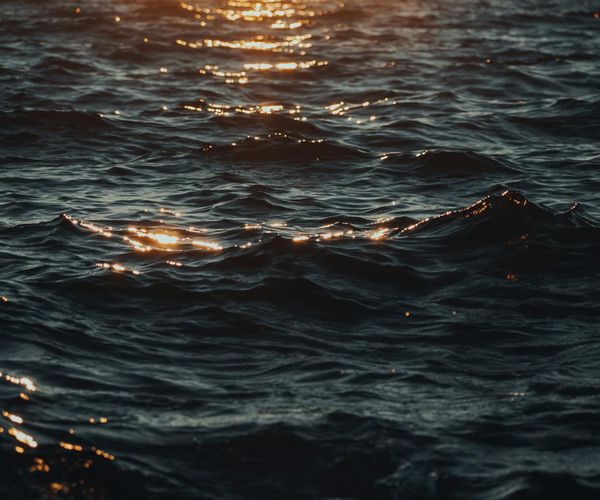 A serene natural landscape with calm water and soft light.